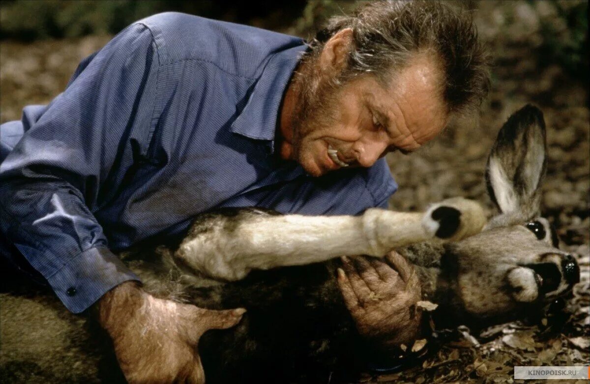 Мой волк 2022. Волк кинофильмы. Волк кинофильмы. Мой волк 2021. Тотем волка wolf totem 2015.