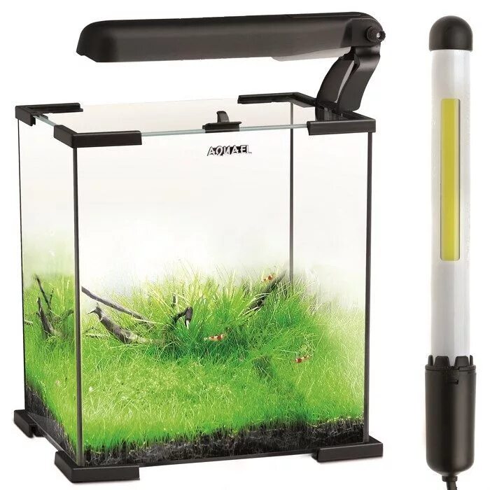 Аквариум Aquael Shrimp Set 30. Аквариум Aquael 20 л. Aquael Shrimp Set 10. Аквариум Aquael Shrimp Set Smart led Day/Night. Aquael plant