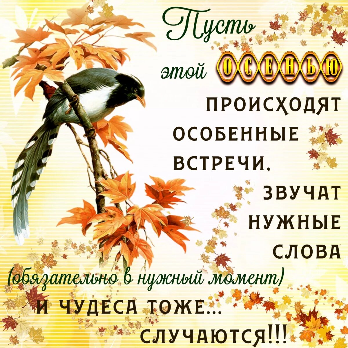 Осенний позитив 2023, Угличский район - дата и место проведения, программа мероп