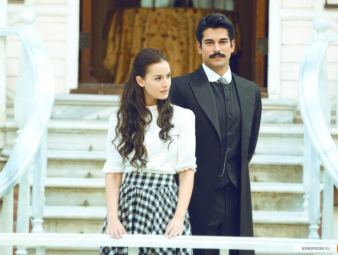 Fahriye evcen фериде. Королек птичка 32. Кямран и фериде королек. Королёк птичка певчая 2013. Королек - птичка певчая.