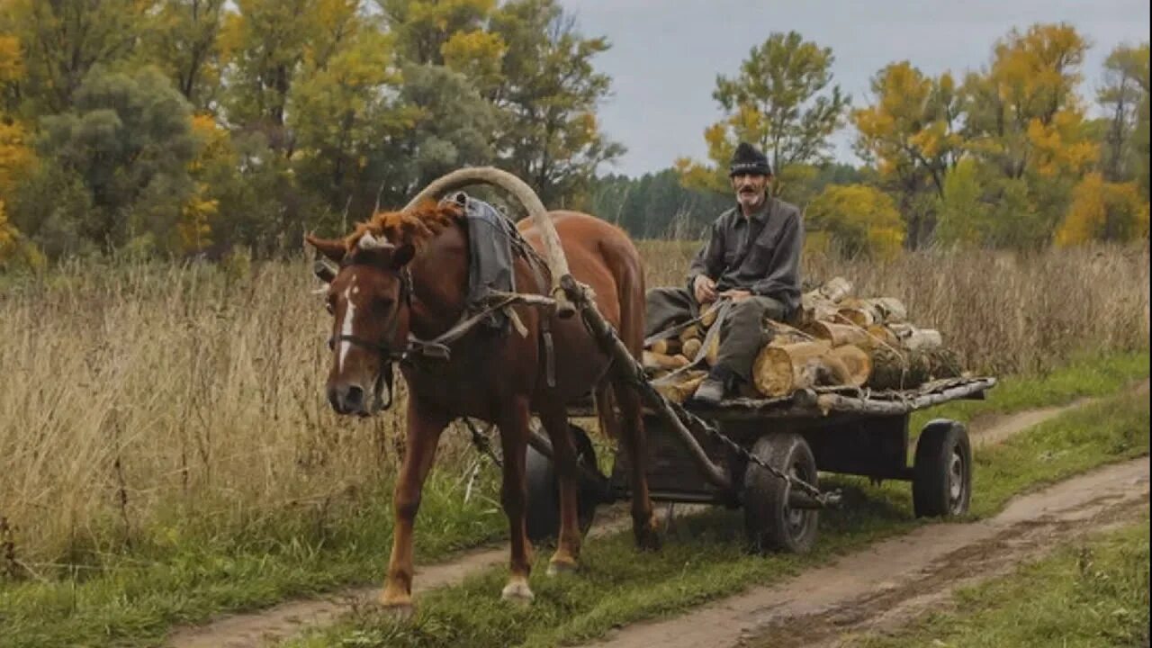 Кобыла с возу