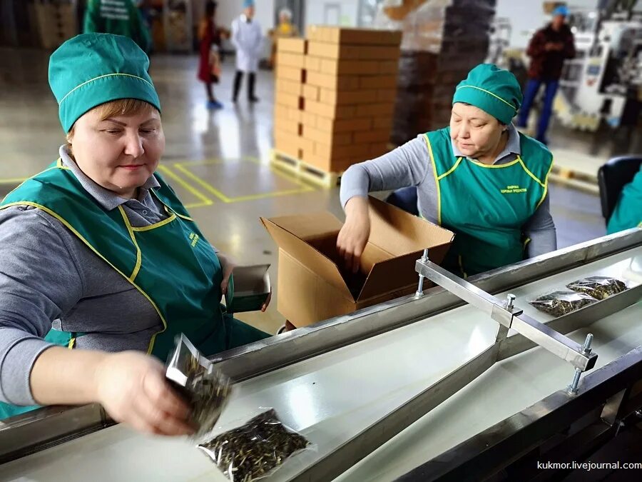 Доставка еды фабрика. Фабрика здоровых продуктов. Упаковщик чайной продукции. Фабрика здоровых продуктов чай. Завод здоровой еды.