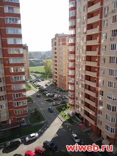 Индекс долгопрудного пацаева