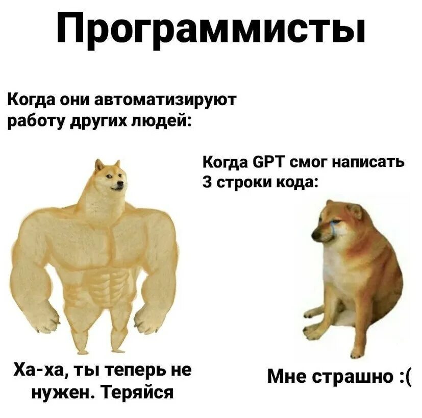 Мем с собакой нейросеть Pin de Lunamoreira en galería Mascotas bonitas, Mascotas memes, Animales domésti