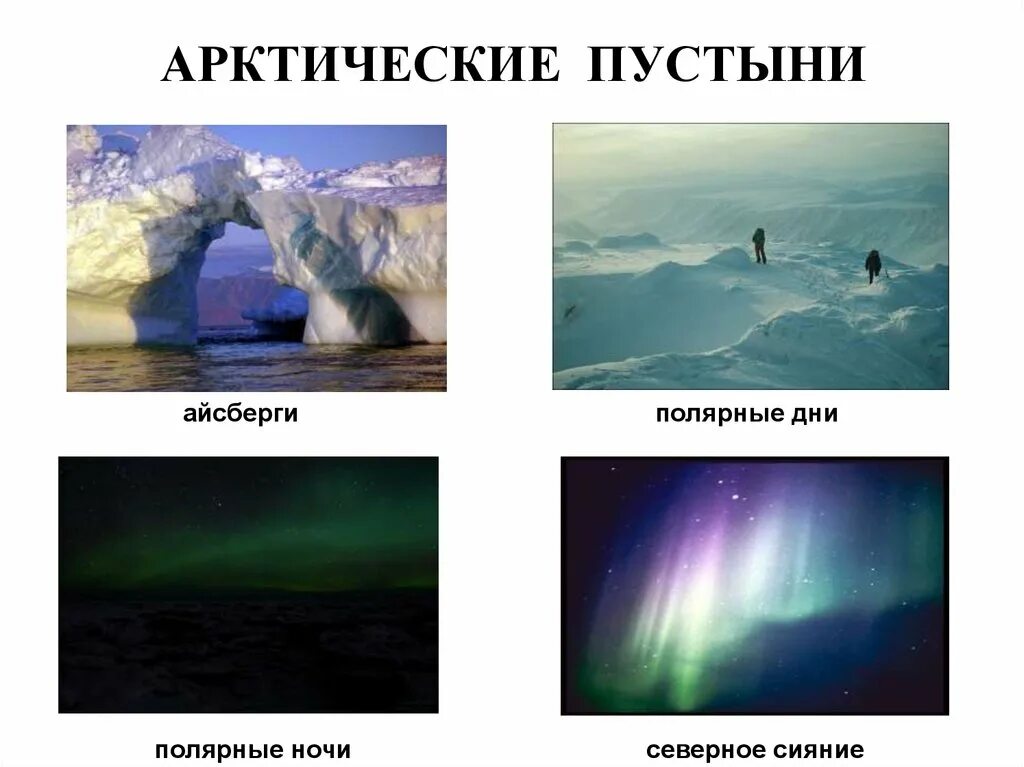 Почему зона арктических пустынь имеет такое название. Зона арктических пустынь. Природная зона арктических пустынь. Природные зоны России арктические пустыни. Презентация на тему Арктика.