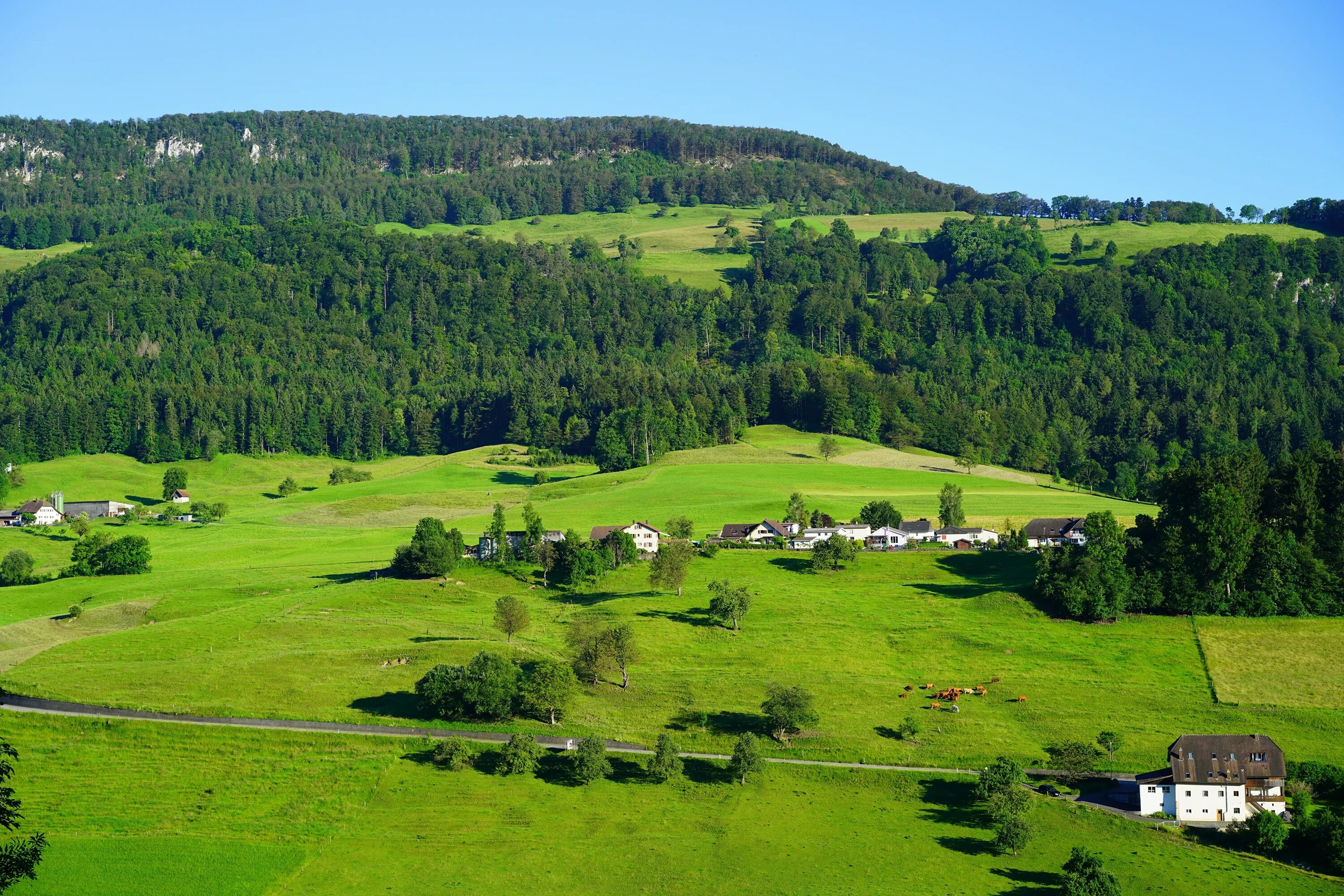 Hills village. Balsthal Швейцария. Швейцария холм холм. Швейцария Луга 1920. Холм Гайзинькалнс.