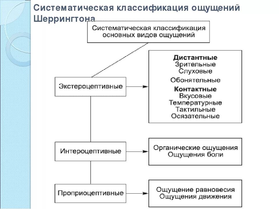 3 класса ощущений. Схема классификация ощущений в психологии. Виды ощущений классификация по Шеррингтону. Систематическая классификация ощущений Шеррингтона. Классификация видов ощущений по ч Шеррингтону.