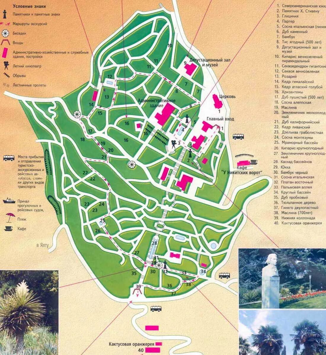 никитский ботанический сад схема сада. никитский ботанический сад схема сада. никитский ботанический сад план-схема. никитский ботанический сад план. карта садов крыма.
