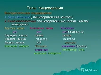 Внеклеточные организмы примеры