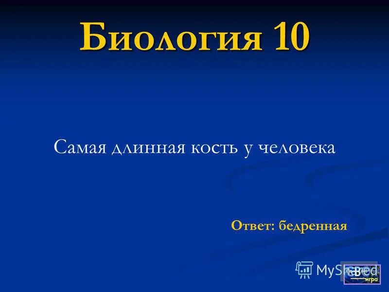 Урок биология информатика