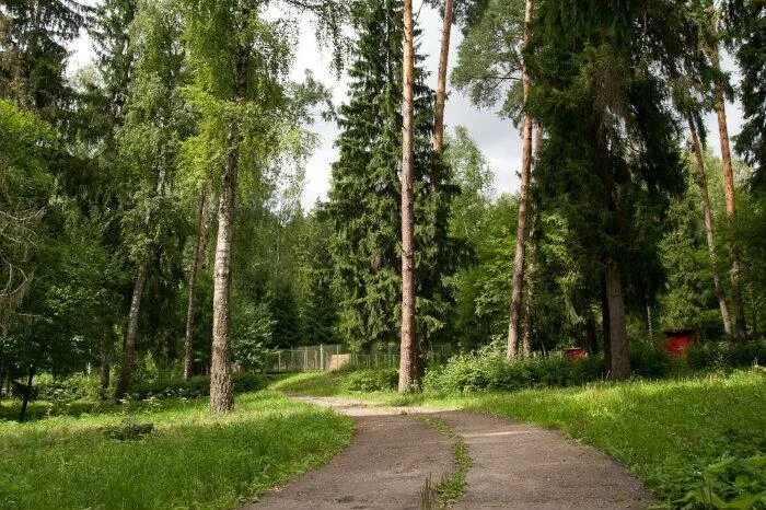 Березки мытищи. Санаторий Берёзки Поведники. Парк отель Березки Поведники. Санаторий Березки Клязьма. Парк отель Березки Мытищинский район.