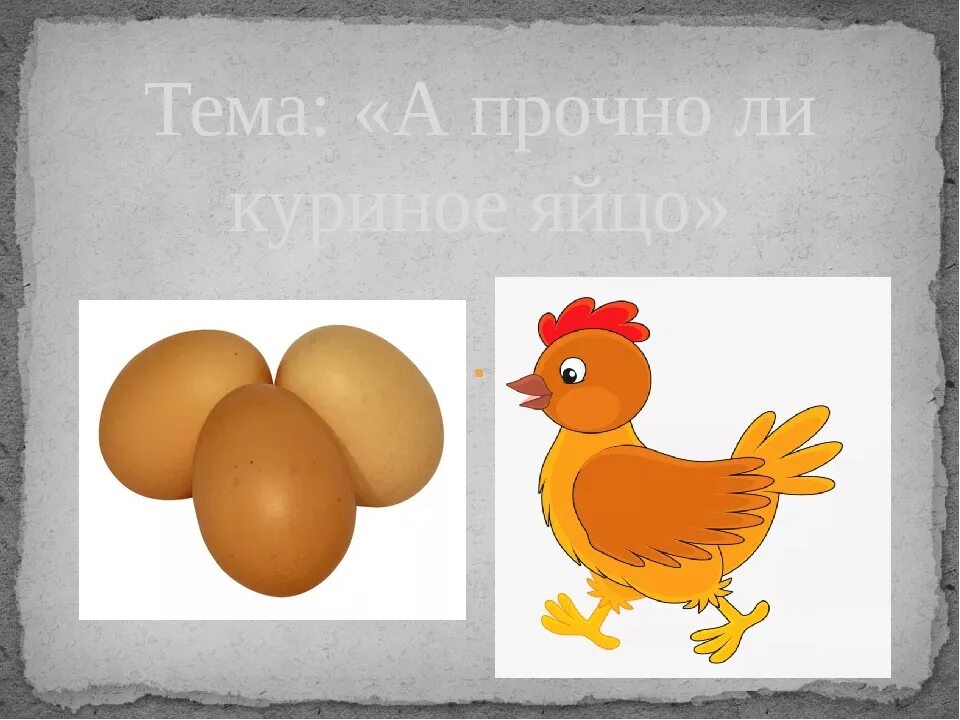 Яйца для презентации. А прочное ли куриное яйцо проект. А прочно ли куриное яйцо. А прочно ли куриное яйцо. А прочно ли куриное яйцо.