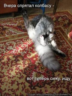 Сижу ищу