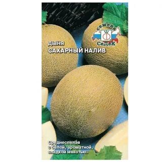 Сахарные дыни