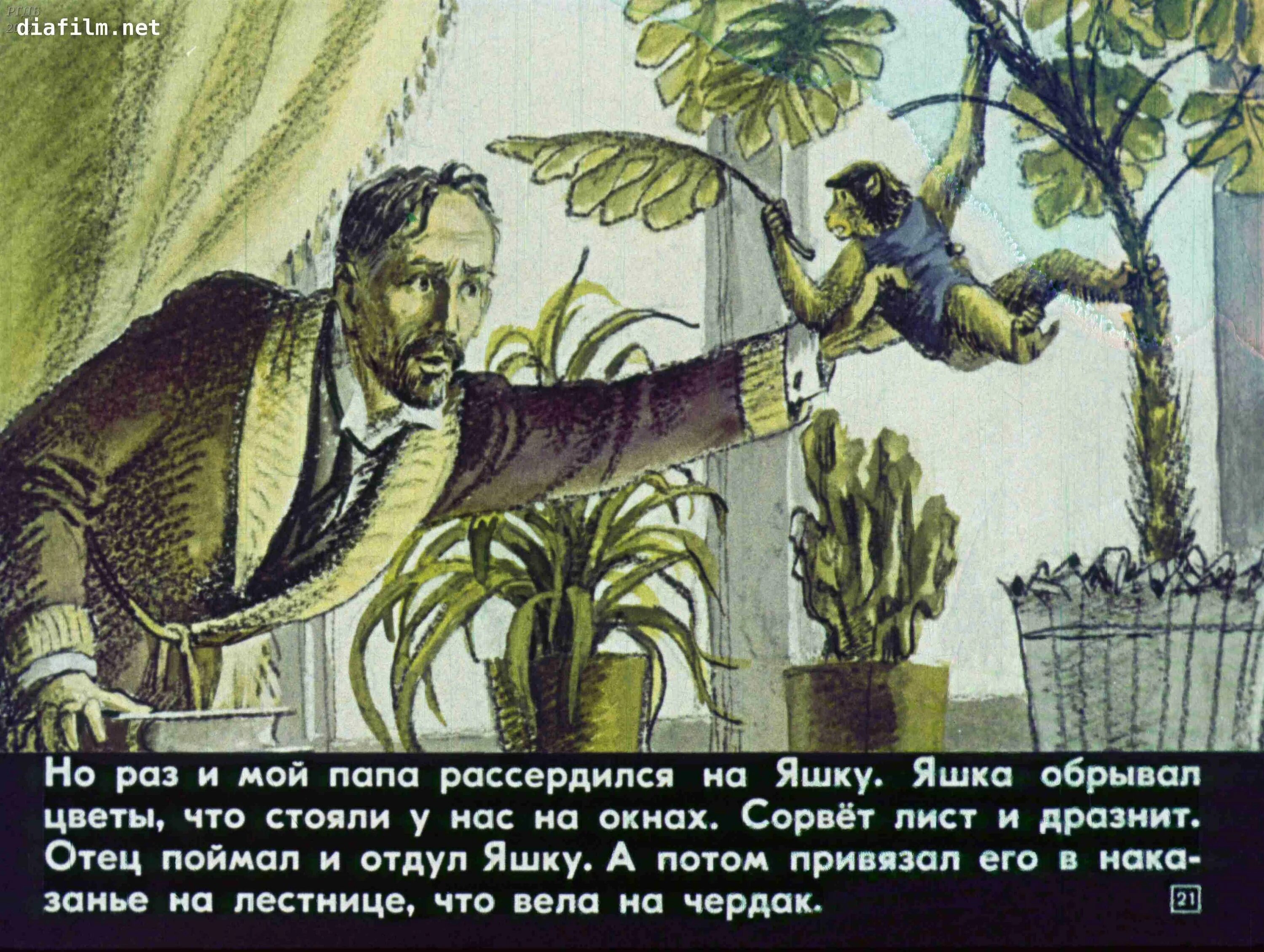 Про обезьянку ответы. Житков про обезьянку. Б Житков про обезьянку.