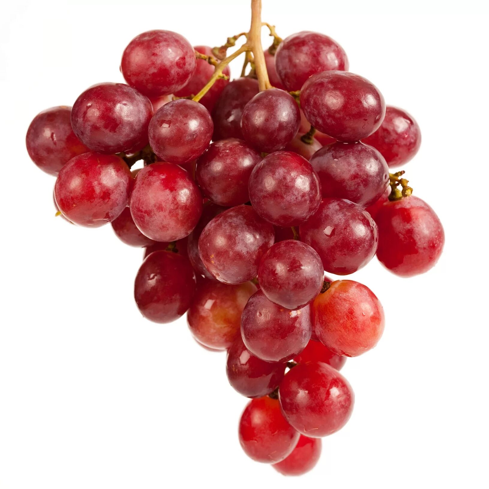 Red grape