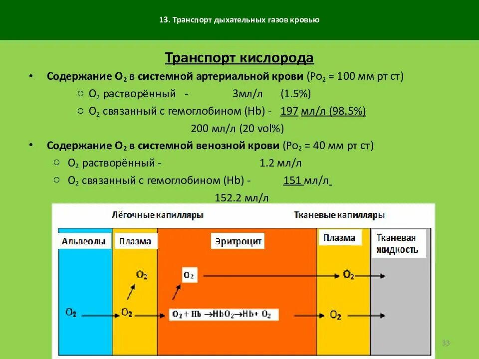 Содержание газов в крови