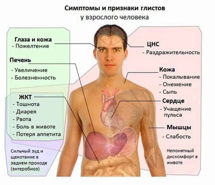 Паразиты в организме человека симптомы.