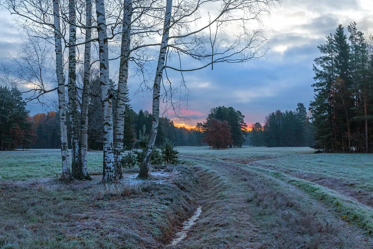 лес еще недавно синевший впереди неожиданно побледнел