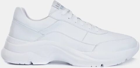 Greys white