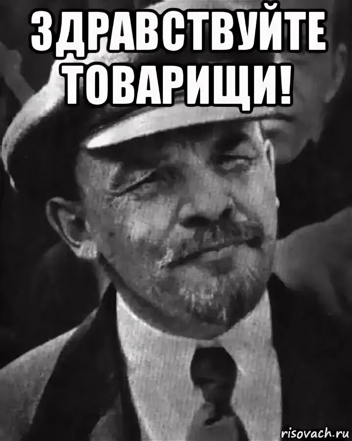 Здравствуйте товарищи. Ленин Мем. Мемы Здравствуйте товарищи. Товарищ мемы. Почему нет программы здравствуйте товарищи