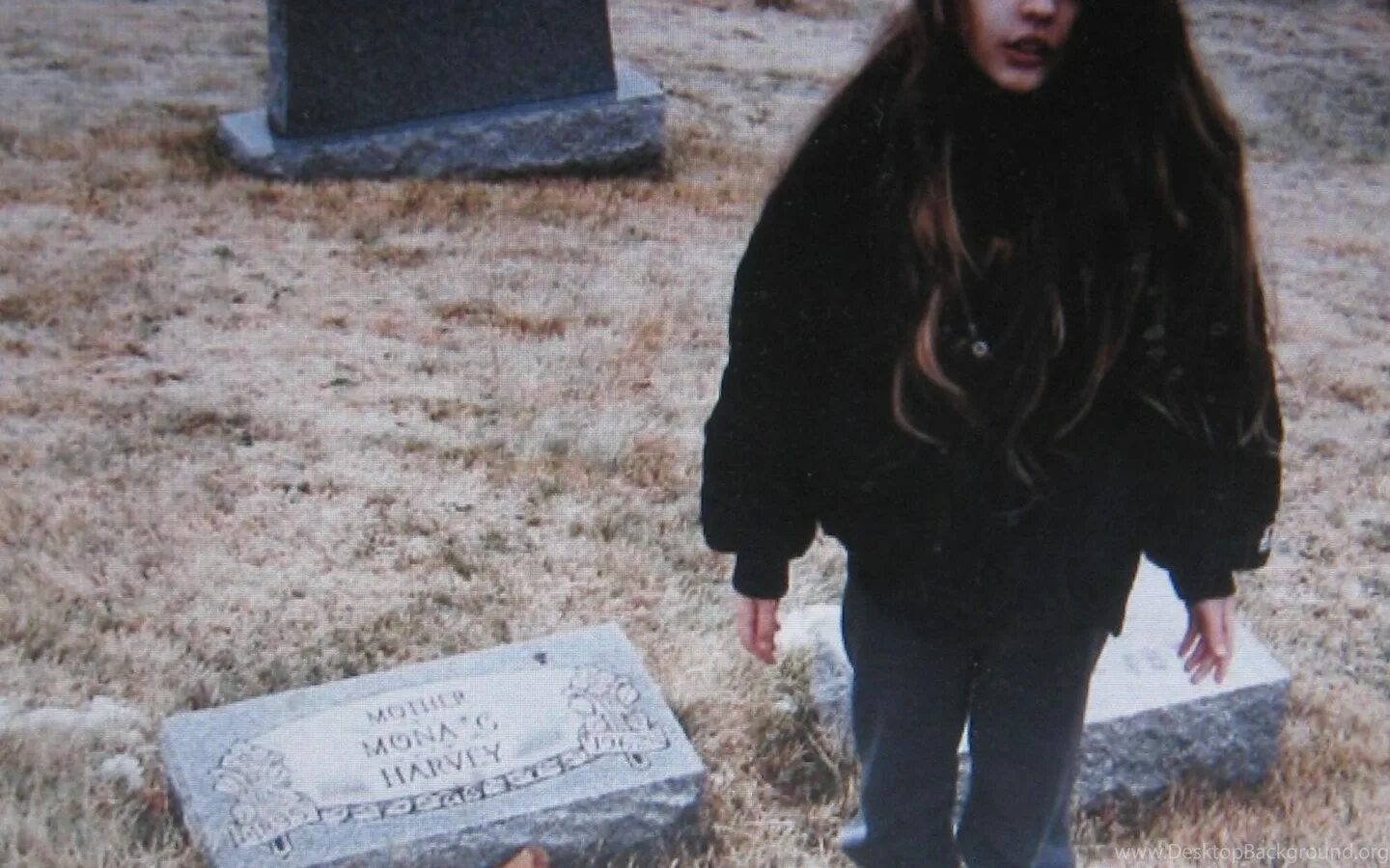 Кристал кастлс обложка альбома. Crystal castles 2. Crystal castles empathy. Crystal castles ii обложка. Crystal castles 2021.