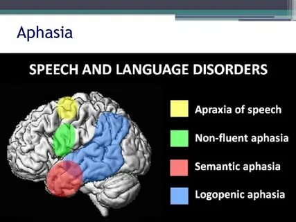 Language and speech