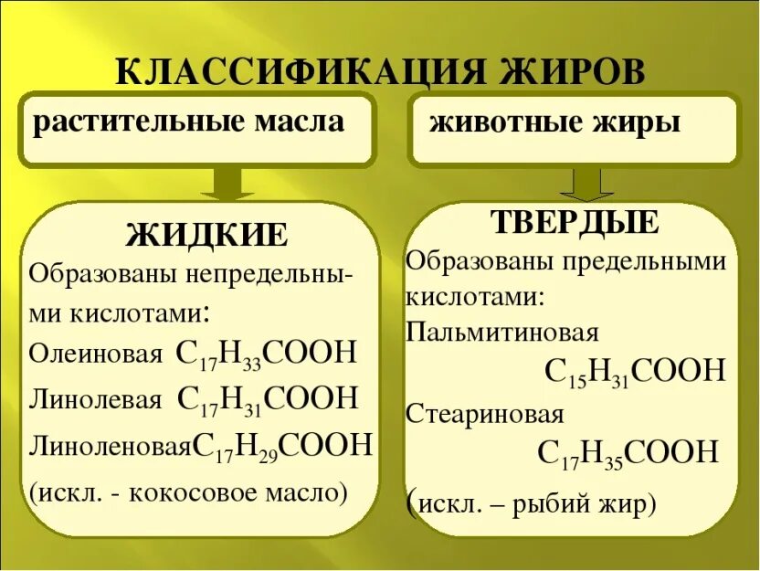 Формулы жирных кислот животных жиров. Структура растительных жиров. Формула жиров в химии. Классификация жиров химические свойства.
