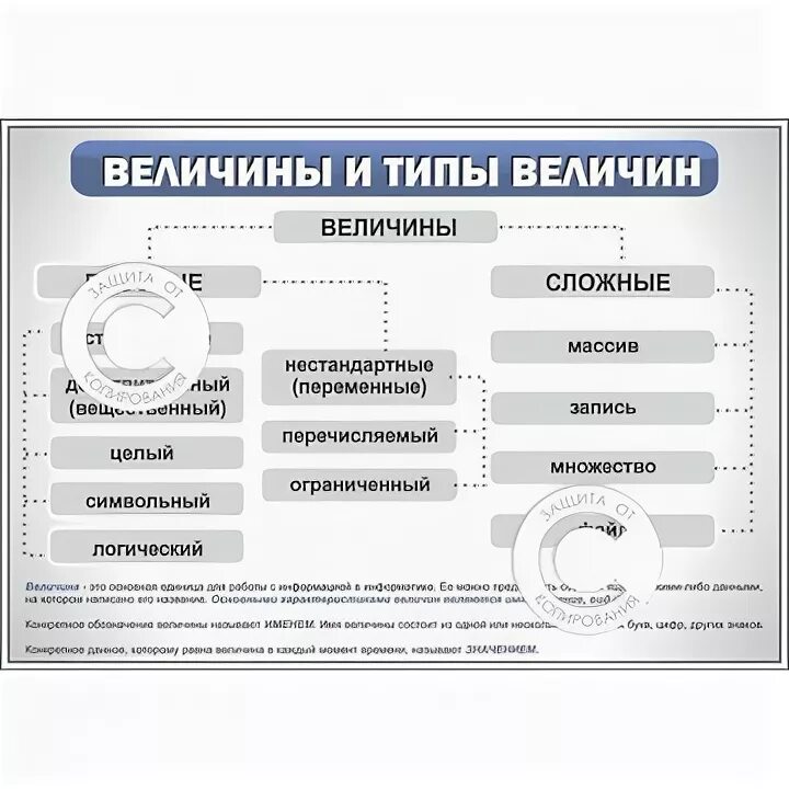 20 это какой тип величины. Типы величин. типы величин в информатике. виды величин в информатике. величины на стенд.