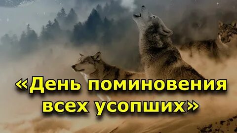 Артемьев день 2