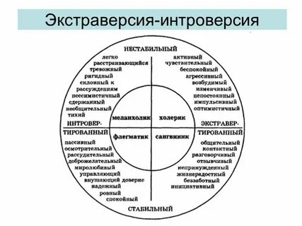 Понятие экстраверсии