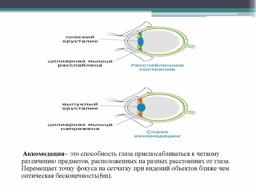 Код аккомодация. Нарушение аккомодации глаза. Аккомодация хрусталика. Схема движения глаз. Нарушение аккомодации что это такое у ребенка.