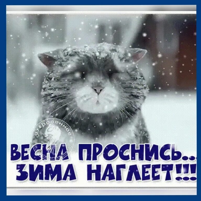 Девочка в тулупе. Но я мороза не. На дворе мороз. Новогодний детский стишок барто. Мороз не морозь меня открытки.