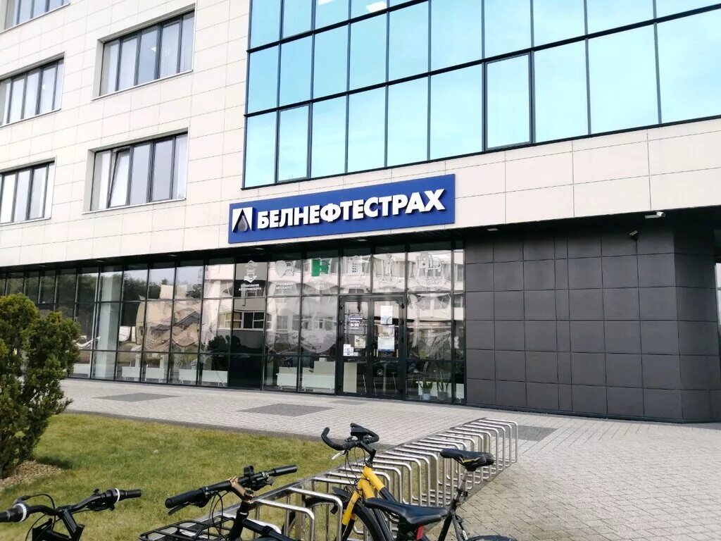 Белнефтестрах приложение. Белнефтестрах приложение