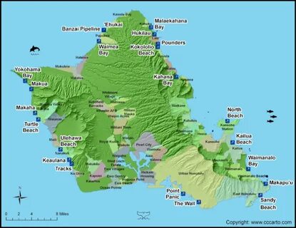 Oahu surfing beaches.