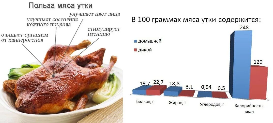 Утка энергетическая ценность. Пищевая ценность мяса свинины в 100 граммах. Утка мясо калории. Полезность мяса. Калорийность домашней курицы