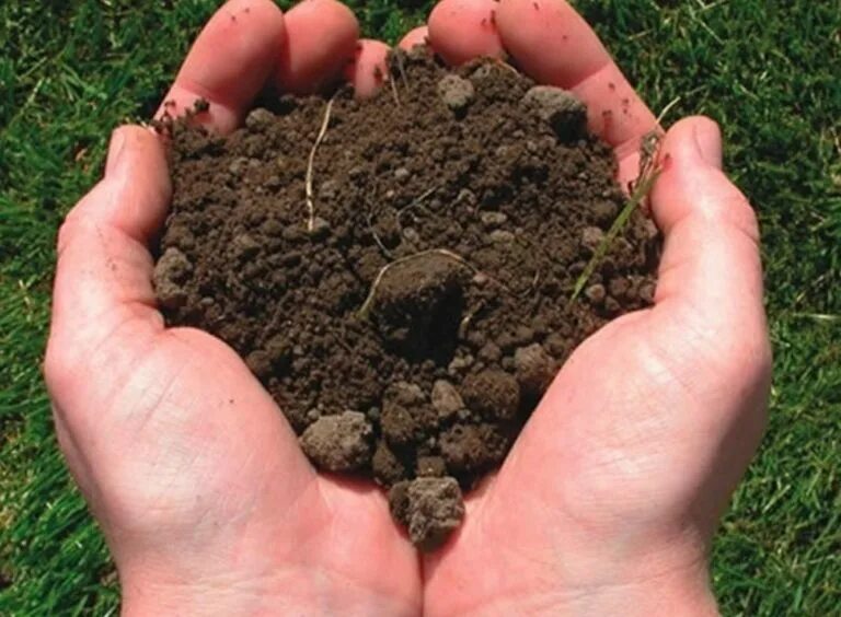 Самые богатые почвы. Земля грунт. Грунт (почва). Плодородная земля. Земля суглинок.