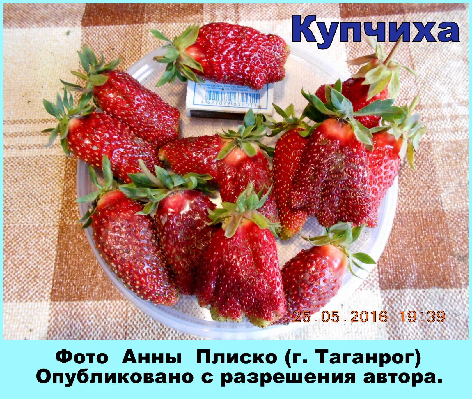 Земляника Купчиха Ягодное в Кирове купить по низким ценам, интернет-магазин Стро