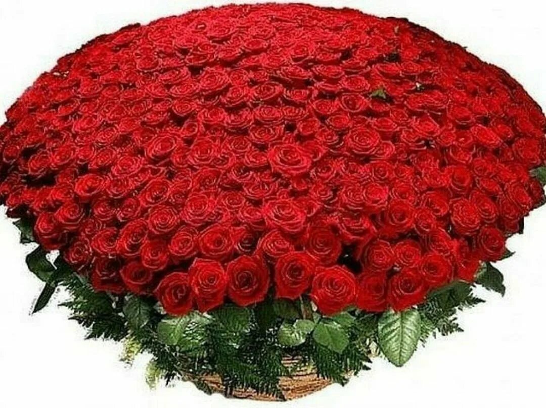С днем рождения огромные розы. Огромный букет. Шикарный букет роз. Красивые большие букеты. Большие букеты роз.