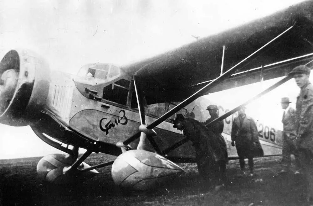 «Сталь-2» – Советский ближнемагистральный пассажирский самолет. Самолет сталь Путилова. Путилов сталь-2. Самолеты сталь-2, сталь-3. Самолет 30 апреля