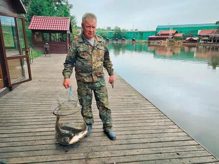 Золотой сазан новости