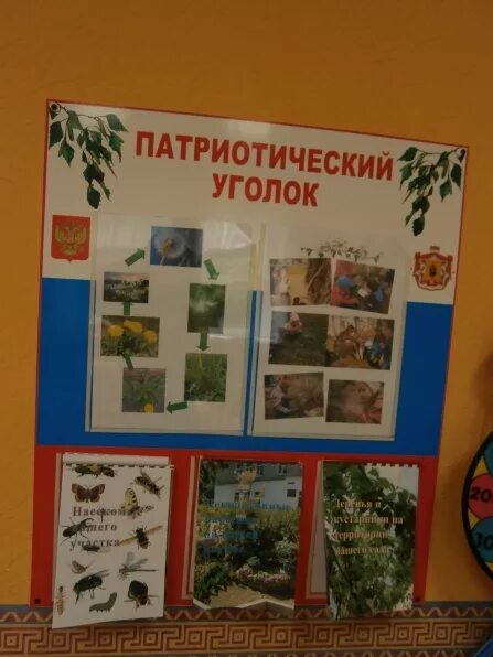 Альбом моя семья в патриотический уголок. Патриотический уголок в детском саду. Патриотическое воспитание в доу. Патриотические альбомы для сада. Альбом моя семья в патриотический уголок.