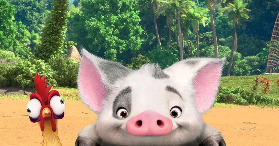 Pua generic