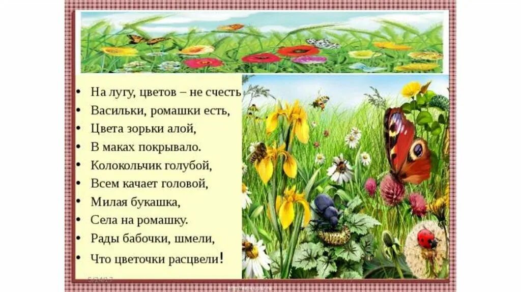 Стихи о цветах для детей. Стихотворение о цветах на лугу. Стихи про цветы. Стихи про цветы для детей.