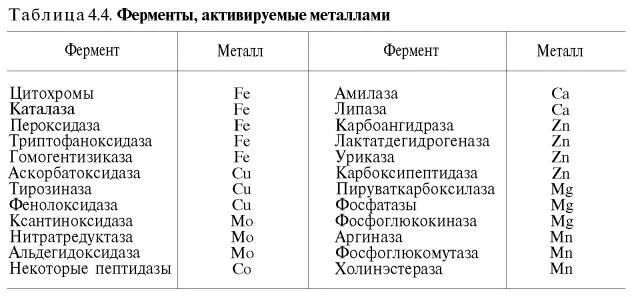 Таблица ферментов человека. Ферменты активируемые металлами. Ферменты и активаторы ферментов таблица. Активирование ферментов ионами металлов. Активаторы ферментов таблица.