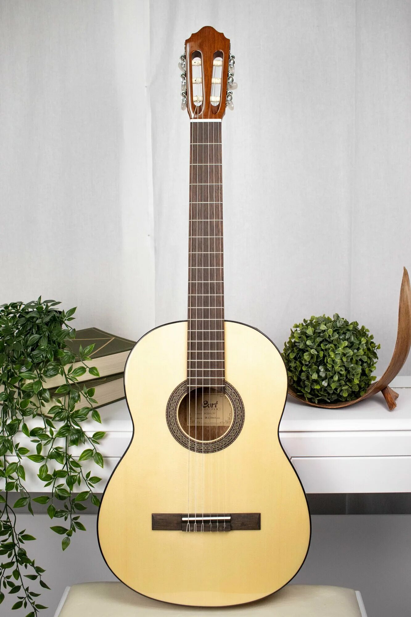 Cort ac 100. Cort ac100 op. гитара кремона. cort ac50-sg размер 12. гитары cort ac100 sg.