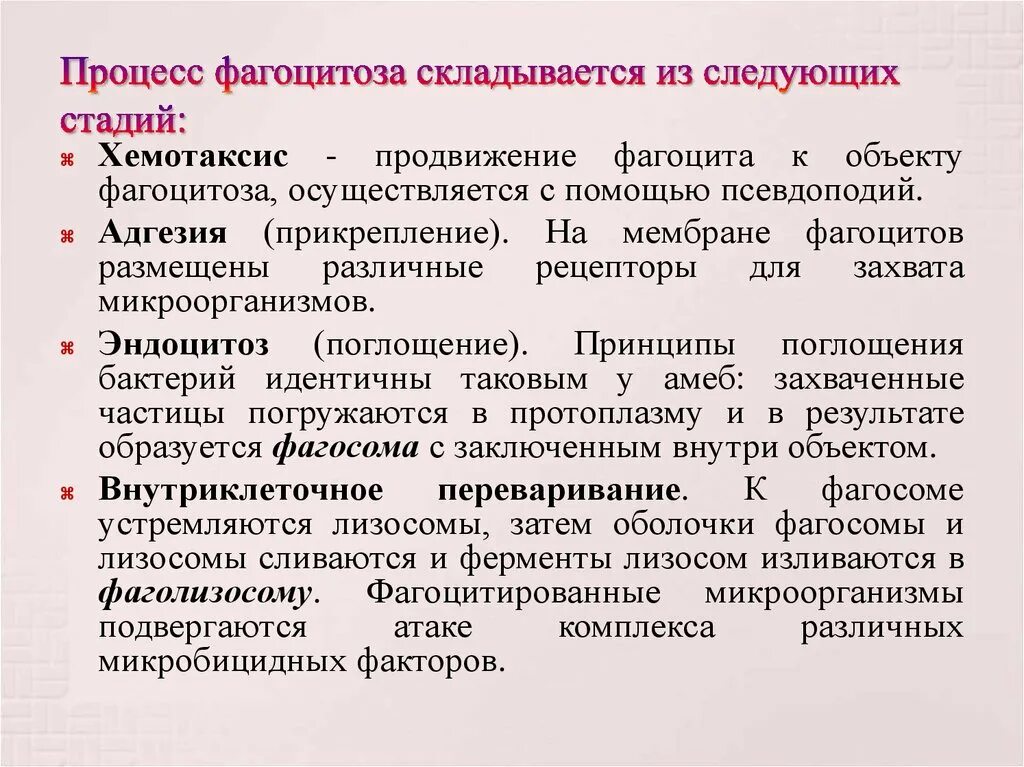 Стадии фагоцитоза иммунология таблица. Стадии фагоцитоза микробиология таблица. Фагоцитоз стадии и механизмы. Этапы фагоцитоза микробиология.