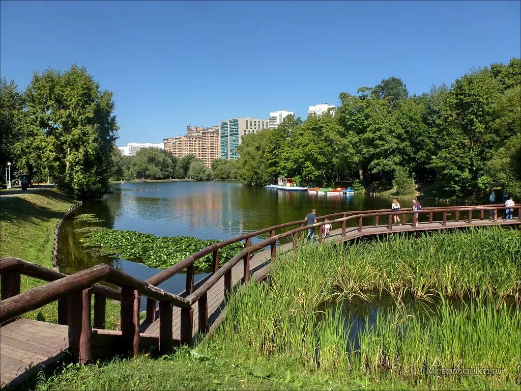 Городские парки москвы. Парк Воронцовские пруды. Воронцовские пруды Москва. Усадьба воронцово пруд. Воронцовский пруд в парке «усадьба воронцово».