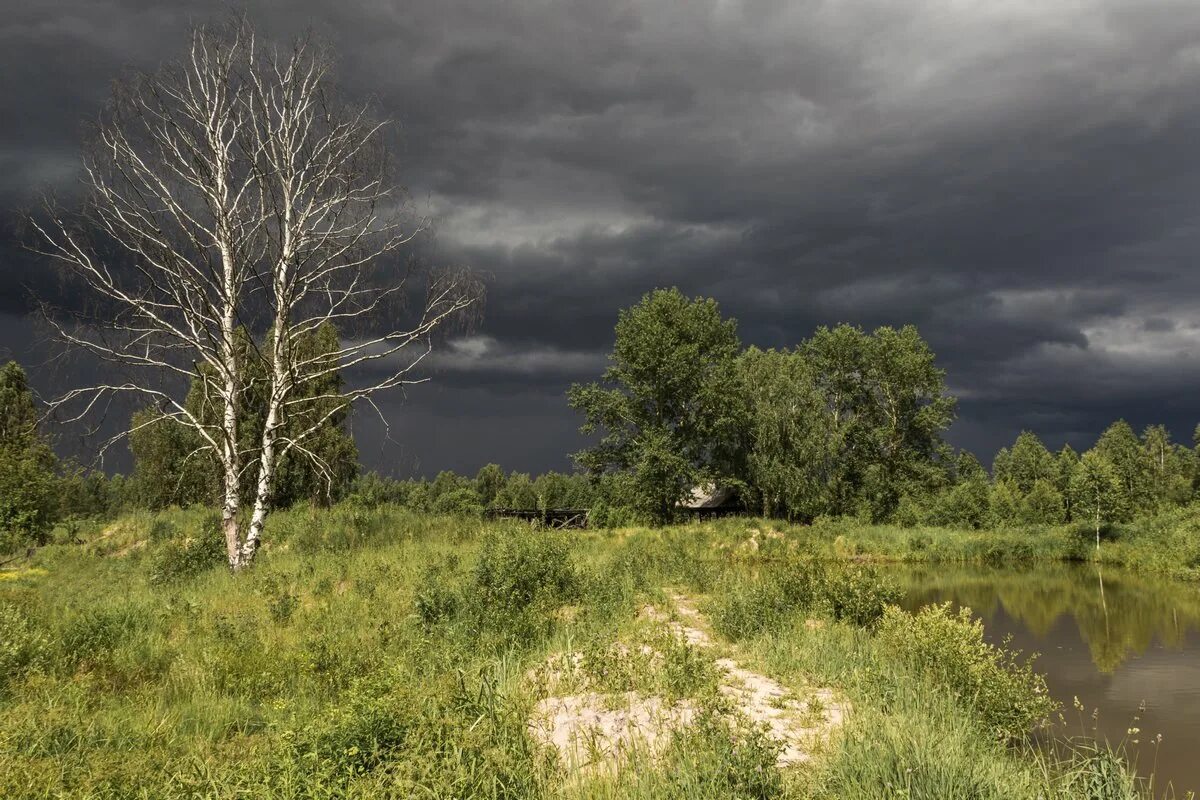 пасмурный летний день. поздняя хмурая осень. пасмурный денек. пасмурный денек. поселок товарково река угра пейзаж.
