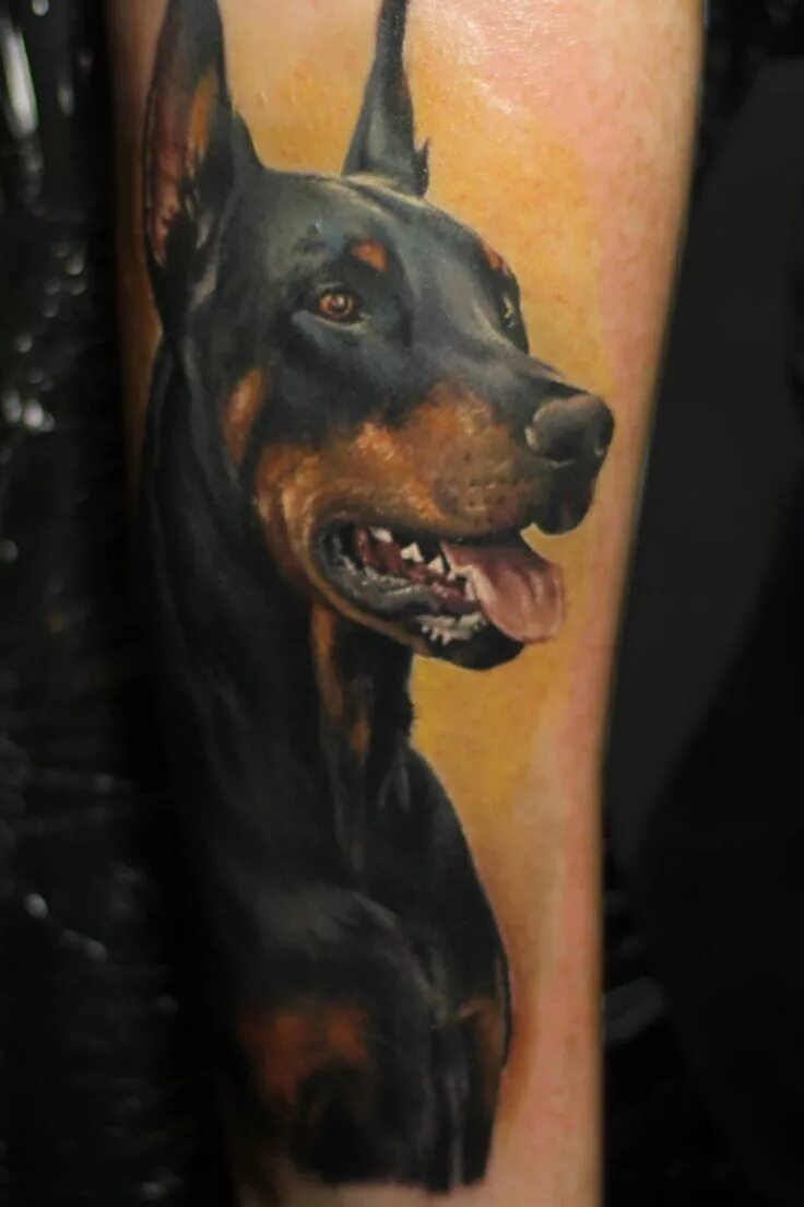 Доберман дотворк. Татуировка доберман. Тату доберман олд скул. Тата доберман. Доберман реализм.
